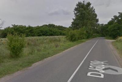 Vanzare teren Moara Vlasiei - Padurea Branzeasca, DJ200 - 1