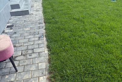 DUPLEX P+1, MOBILAT ȘI UTILAT – SAT MIDIA, NĂVODARI | TEREN 195 MP | 3 - 17
