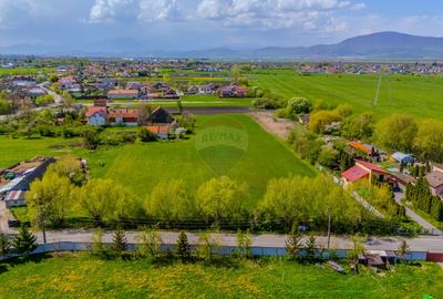Teren intravilan, 13000 mp, Stupini - 12