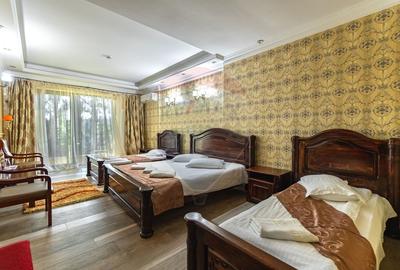 Oportunitate Business |De închiriat: Hotel Edy’s Royal 3***  | Predeal - 35