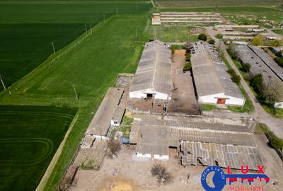 ID 7905 Oportunitate investiție agro-industrială - EXCLUSIVITATE - 5