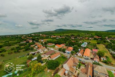 Afacere la cheie: Pensiune functionala sau casa de locuit, Ghioroc - 39