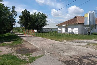 Afacere de vânzare: Fermă Creștere Pui – Ialomița la 60 km de București - 10