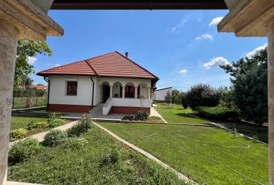 Casa 'din vis' frumoasa ,cocheta, la sol, caramida, 2014, 980 mp teren, M.Kogaln - 8
