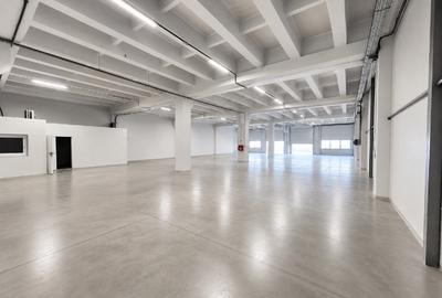 Parc Industrial-Oportunitate de Investitie - 5