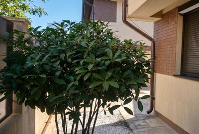 Duplex complet mobilat si utilat, Mutare imediata, Toate utilitatile, Comision 0 - 7