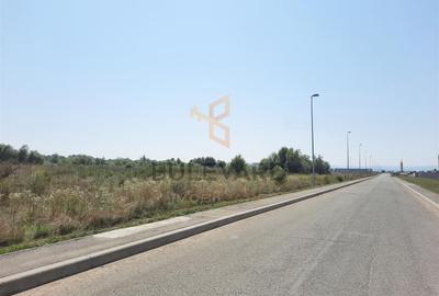 Teren industrial autorizat pentru hala - 4