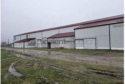 Proprietate industrială  Platformă logistică de vânzare în Tinca - 4
