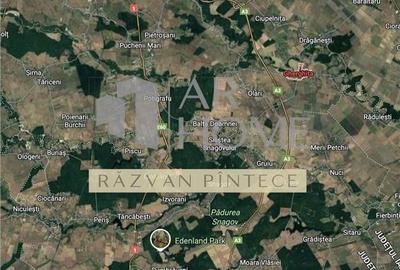 Loturi teren intravial de la 500 mp la 673 mp in Gherghita intre Bucuresti si Pl - 1