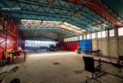 Spațiu industrial, 324 mp în Giurgiului