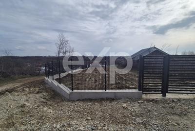 Teren 1.500 mp lângă pădure, Albota – liniște, natură și potențial de parcelare - 5