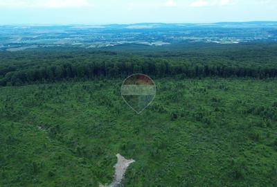 Teren 44,7, hectare Serbauti / Strada Principala - 7