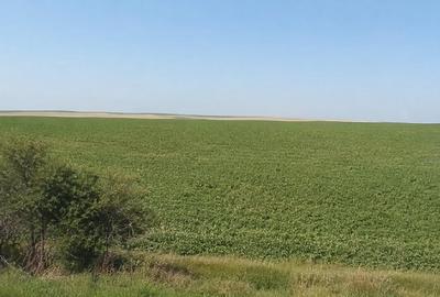 Udesti, Suceava - Teren extravilan arabil 2.300 mp | 1.800 EURO - 2