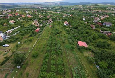 Teren intravilan 1000 mp in Sibiu Daia Noua - 2