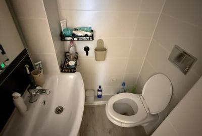 Oportunitate investitie Apartament 3 camere 77 mp , 2 nivele zona PLATINIA MALL - 3