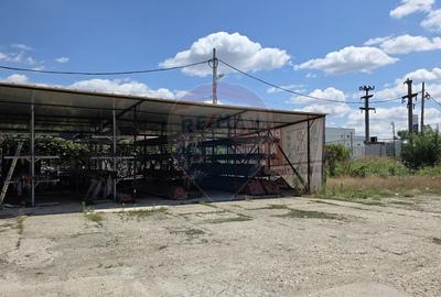 Hala si teren, depozitare, parcare-Spațiu industrial - 21