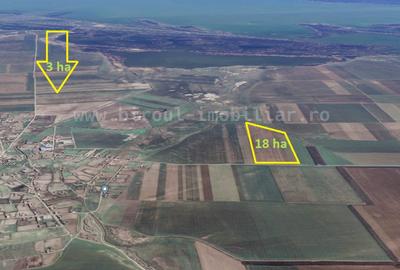 Vânzare teren agricol comasat plus microferma direct la sosea - 1