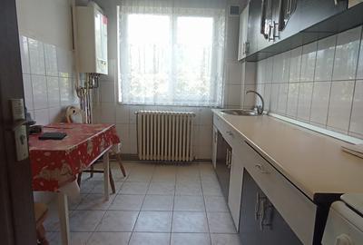 Apartament 2 camere SD, Podu Ros, mutare rapida - 5