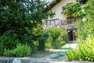 Vanzare vila-pensiune D+P+M 10 camere de vânzare, Daesti jud. Valcea - 53