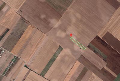 Teren agricol extravilan de 9127 mp, în Berceni