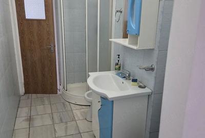 Vanzare 2 cam Dristor - P-ta Ramnicu Sarat - 8