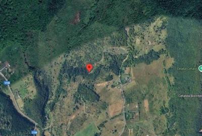 Teren agricol extravilan de 5800 mp, în Nord