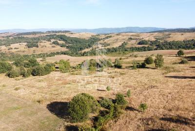 Teren agricol extravilan de 50000 mp, în Izvoarele