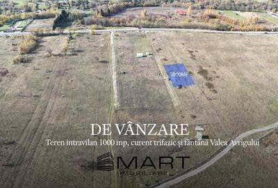 Teren de 1000 mp, în Avrig