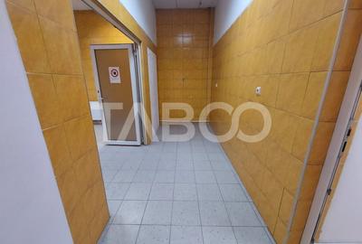 Spatiu comercial de inchiriat 850 mpu lift industrial Terezian Sibiu - 4