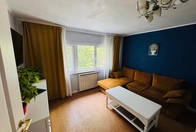 Piata ALBA IULIA/DECEBAL,nestradal,apartament superb,ideal locuit,utilat complet - 14