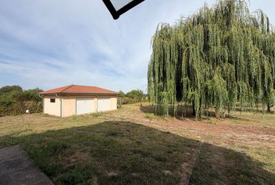 Casa cu teren 10.000mp si foarte multe posibilitati - 5