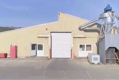 Hale industriale 8000 m2  Maierus Brasov - 1