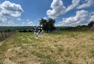Teren de vânzare 2.531 mp Centrul satului Poieni, Priveliste spre padure - 1