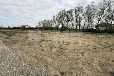 Teren intravilan | Rădăuți – Zona Tolocii | 2.000 mp | Parcelabil - 4