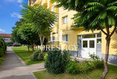 Apartament cu 2 camere decomandat, mobilat în Terezian