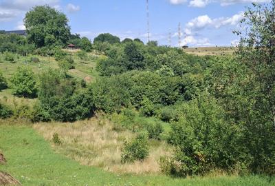 Teren de vânzare in Feleacu - 6