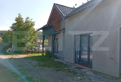 Casă individuală cu 3 camere în Ivănești