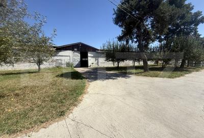 Atelier industrial 1.050 mp, utilat, 4 căi de acces – SAGRICOM - 1