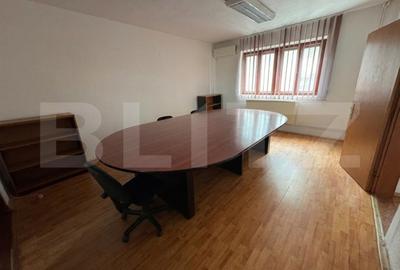 Casă individuală cu 12 camere în Dorobanți
