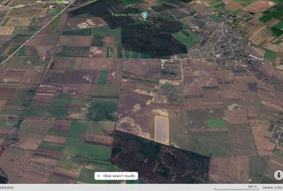 Teren agricol extravilan de 31200 mp, în Afumați