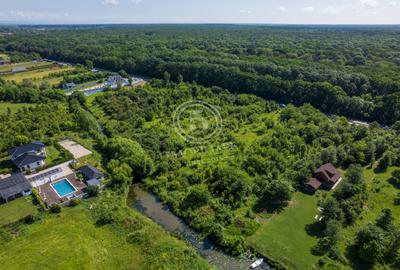 Teren 5.515 mp lângă Lidl Snagov – Ieșire la Lacul Snagov - 6