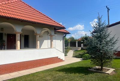 Casa 'din vis' frumoasa ,cocheta, la sol, caramida, 2014, 980 mp teren, M.Kogaln - 10