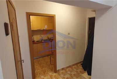 APARTAMENT 3 CAM CENTRALA, BRANCOVEANU HUEDIN - 4