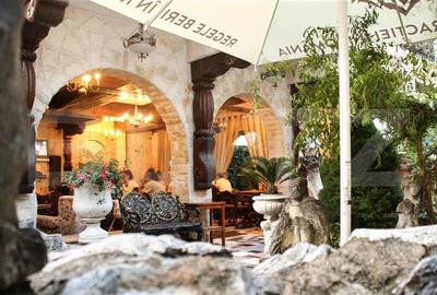 Boutique Hotel & Restaurant de vânzare – concept unic, mix de stiluri, zona Turd - 9
