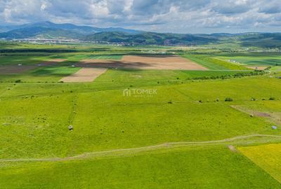 Teren de investiție în zona Tohanul Nou - Bran  5.800 mp - 11
