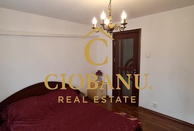 Apartament etaj 1/4 cu 2 camere zona Brazda de inchiriat - 4