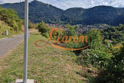 Teren Premium Drumul Poienii (Warthe)-5 Parcele de la 500 mp,270Eur/mp - 3