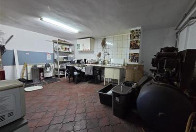 Casa cu hala productie 380V, 100kw putere instalata Bd. Jiului - 10
