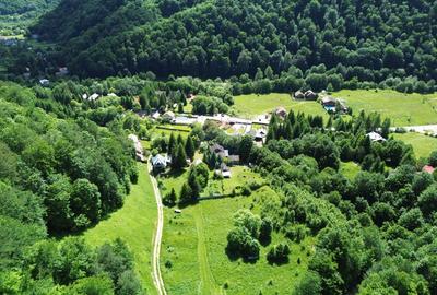 Teren 1,500mp Lepsa / Strada Manastirii - 10