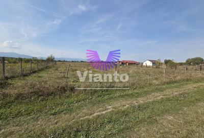 Teren agricol extravilan de 1500 mp, în Șelimbăr
